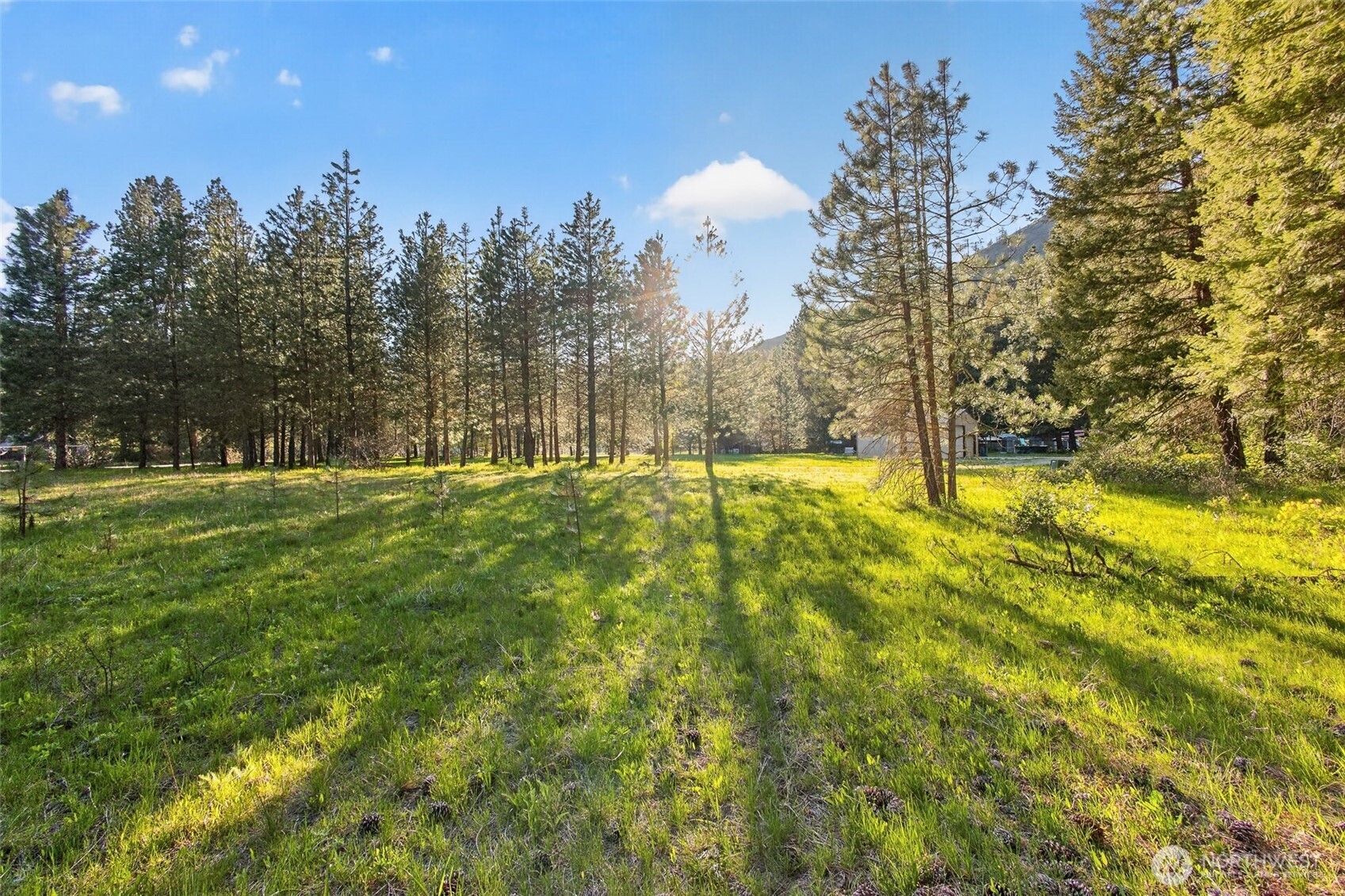 15906 River Road