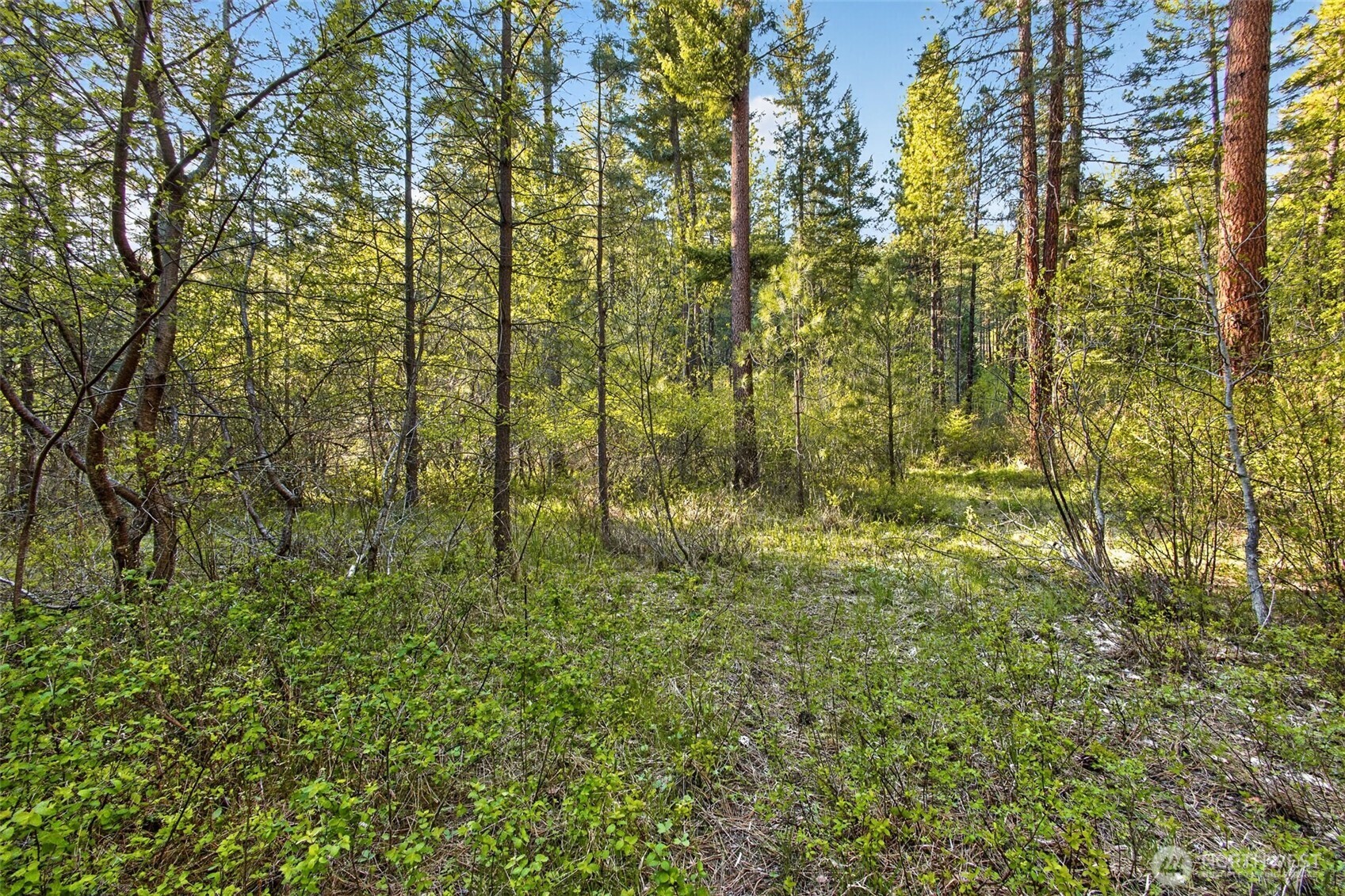 15906 River Road