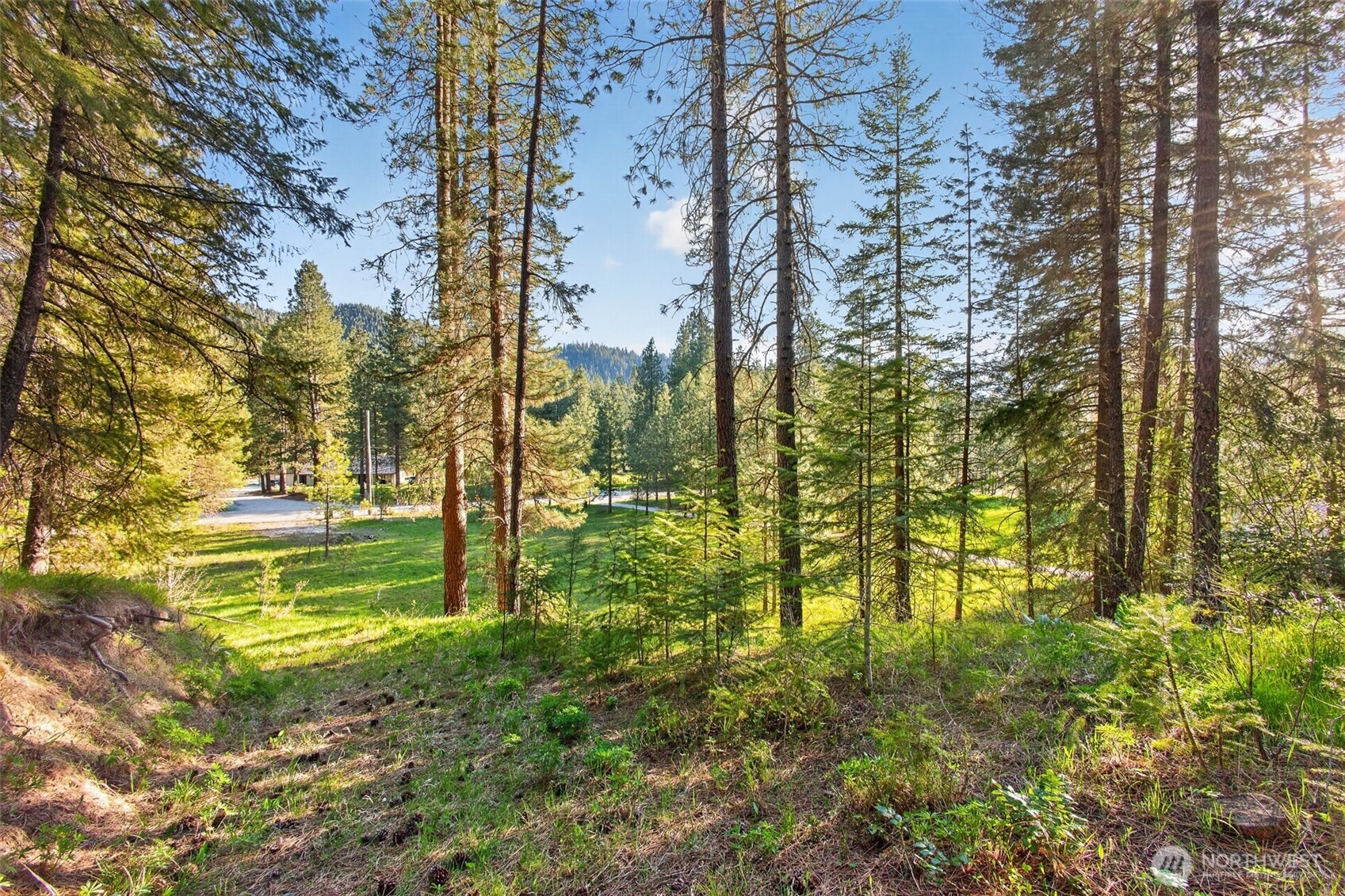 15906 River Road