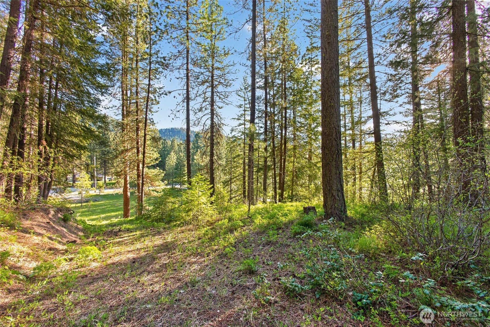 15906 River Road