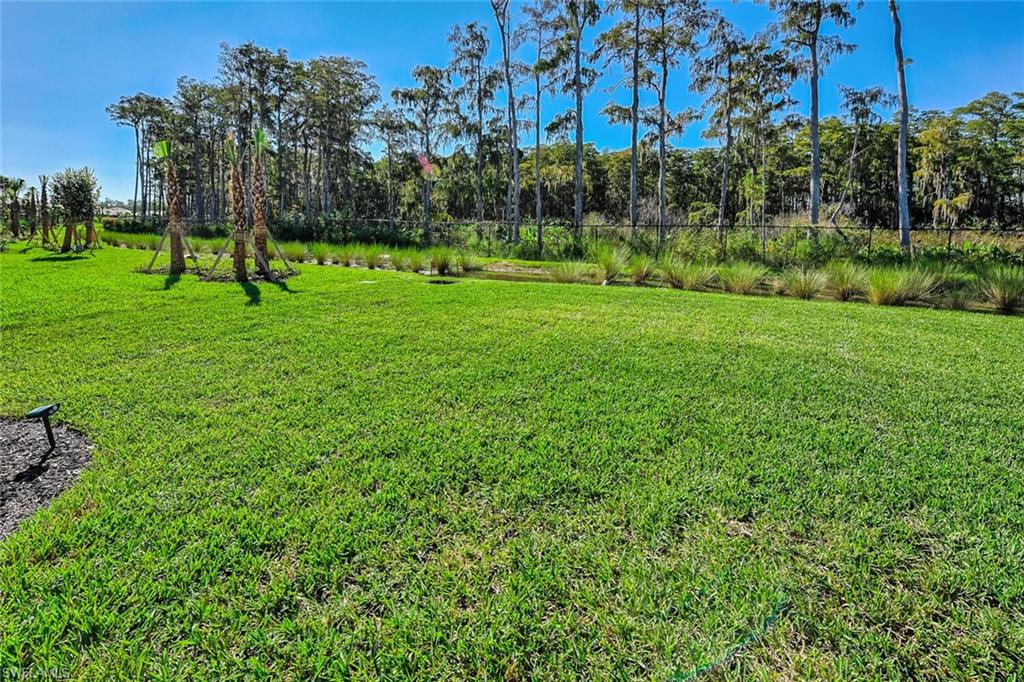 14607 Blue Bay CIR