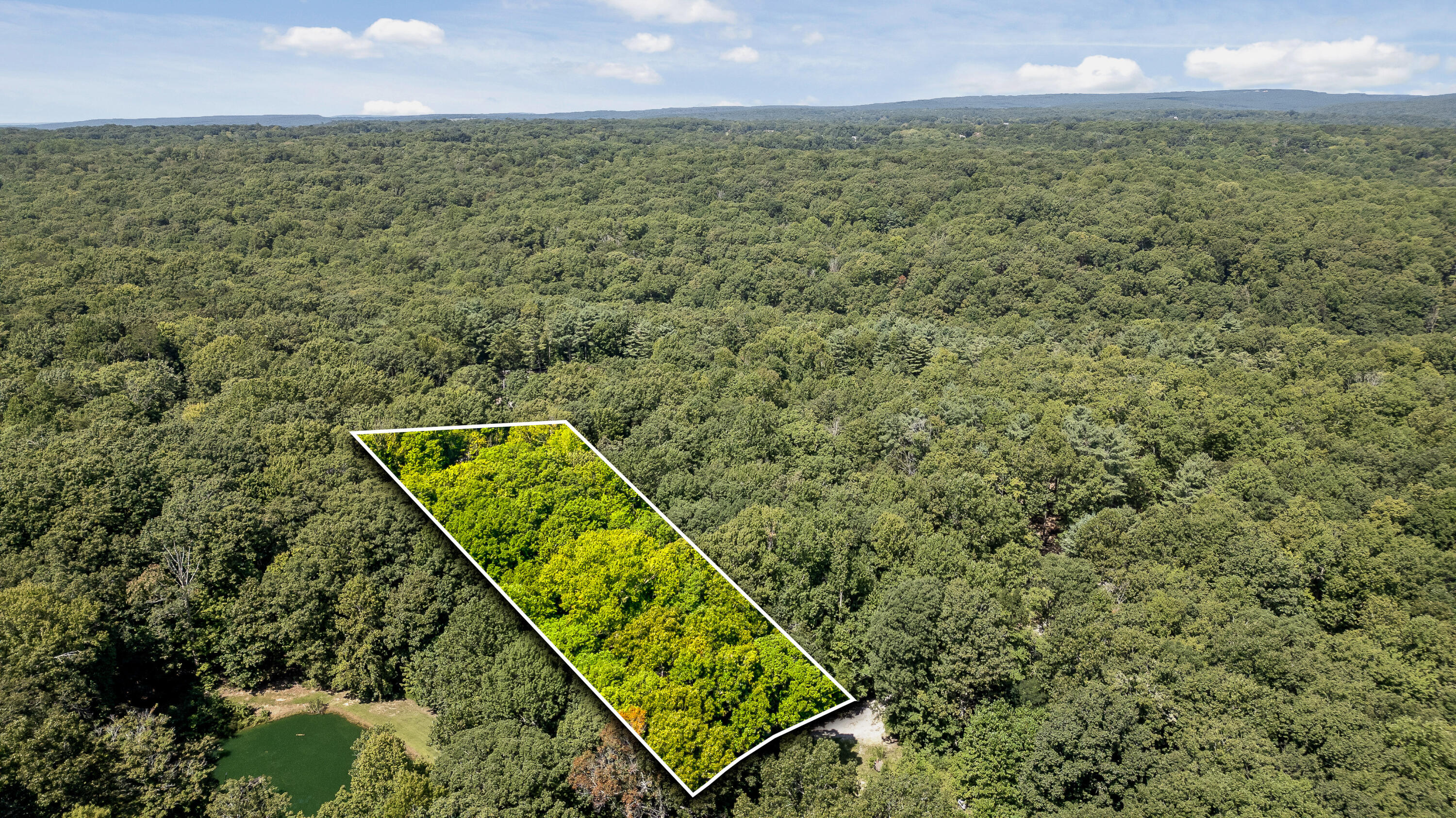 Aerial view of a wooded parcel outlined in white beside a small pond.