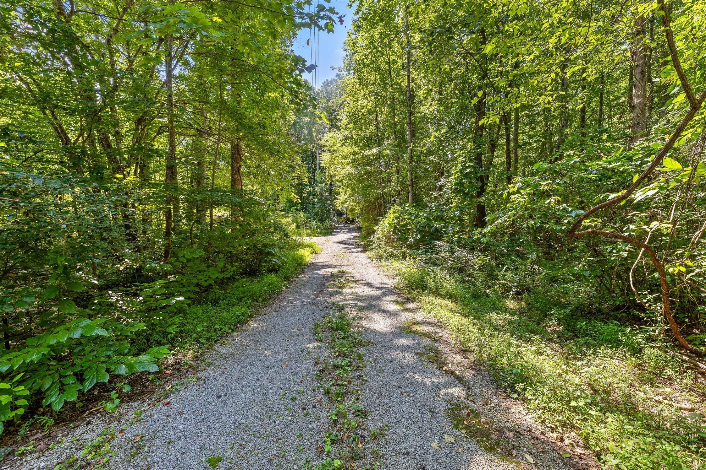 Gravel driveway winding through dense woodland beneath mature leafy trees.