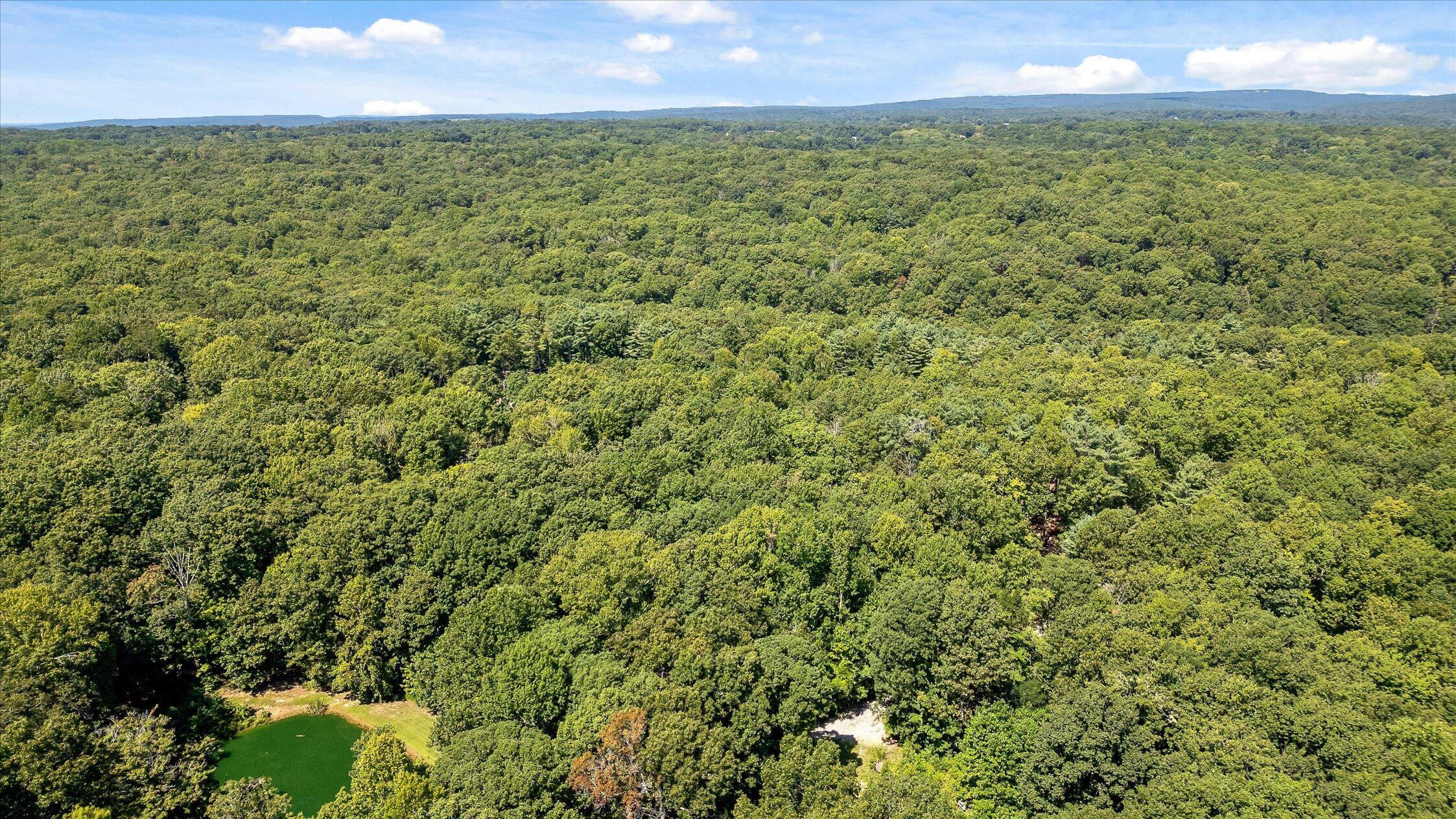 Aerial view across dense woodland, with a small pond and clearing in the foreground.