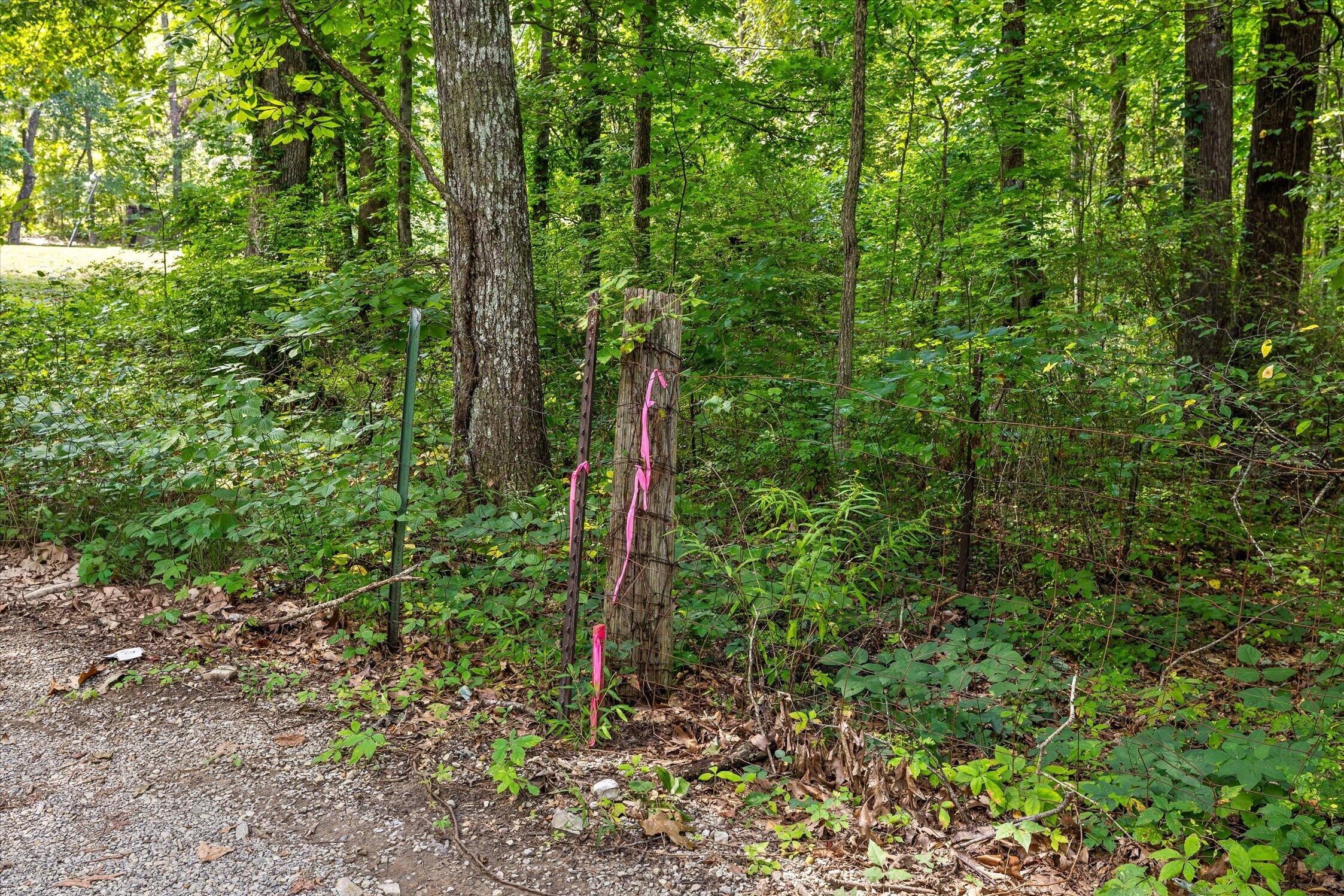 Wooded property boundary marked by a wire fence and pink survey ribbons beside a gravel driveway.