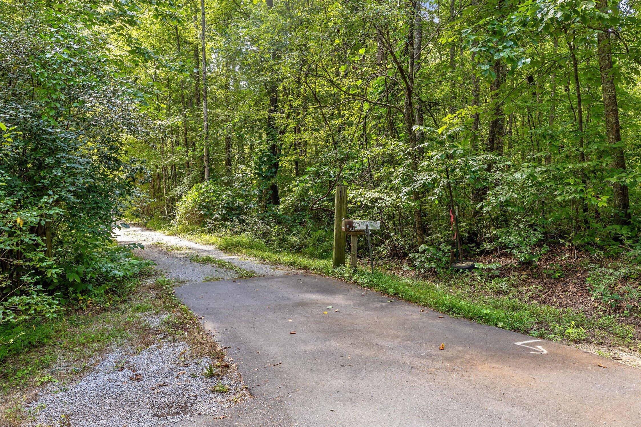 Wooded property entrance with a curving paved road, gravel shoulder, and roadside mailbox.