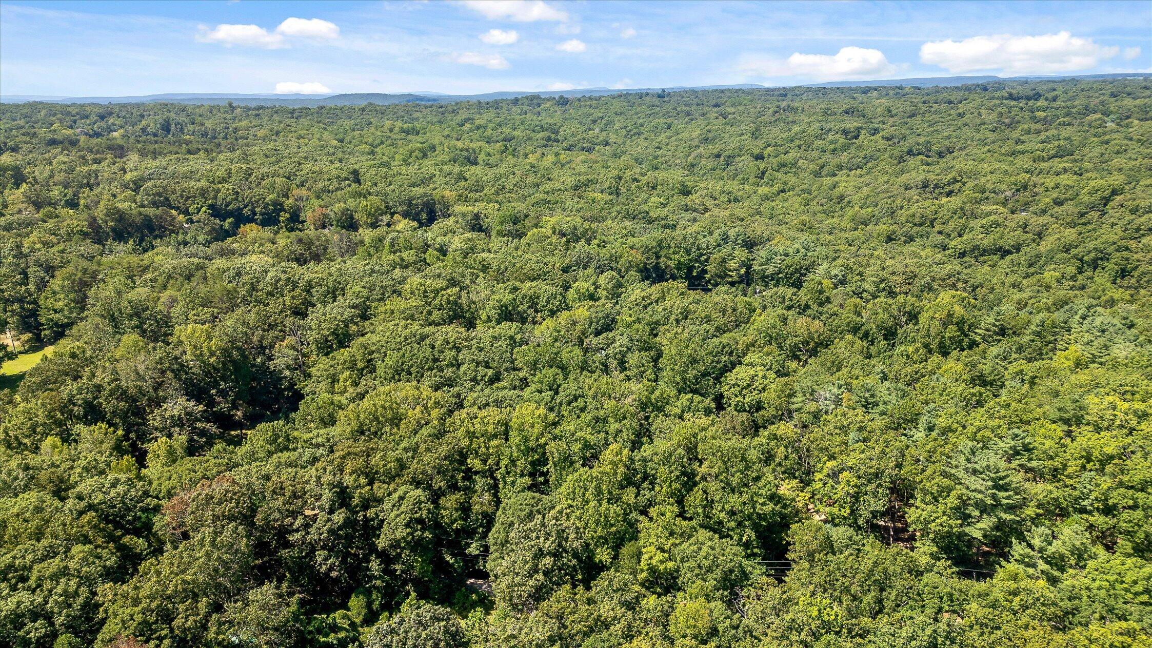 Aerial view across dense forest toward a distant ridgeline.