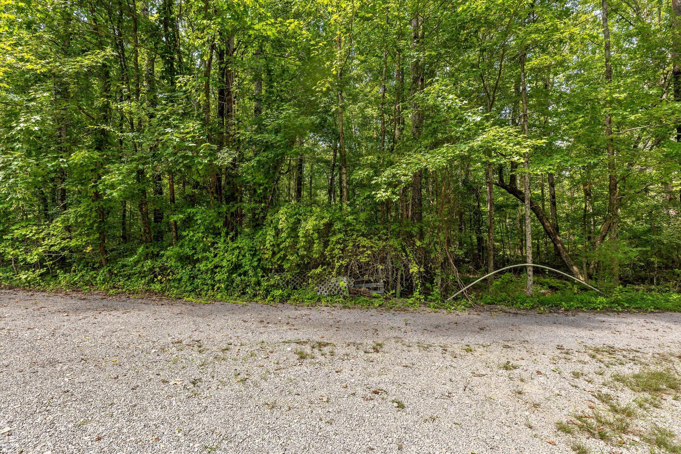 Wooded property with dense green trees behind a broad gravel driveway.