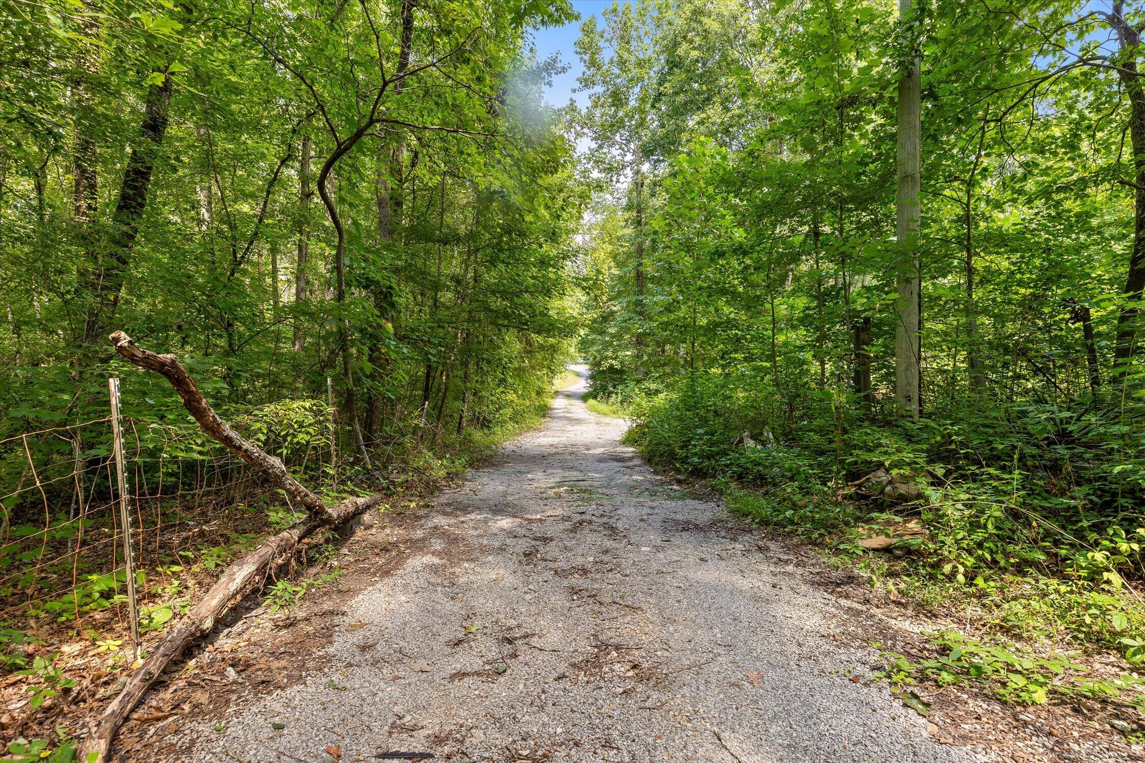 Gravel driveway winding through dense woodland beside a wire fence.