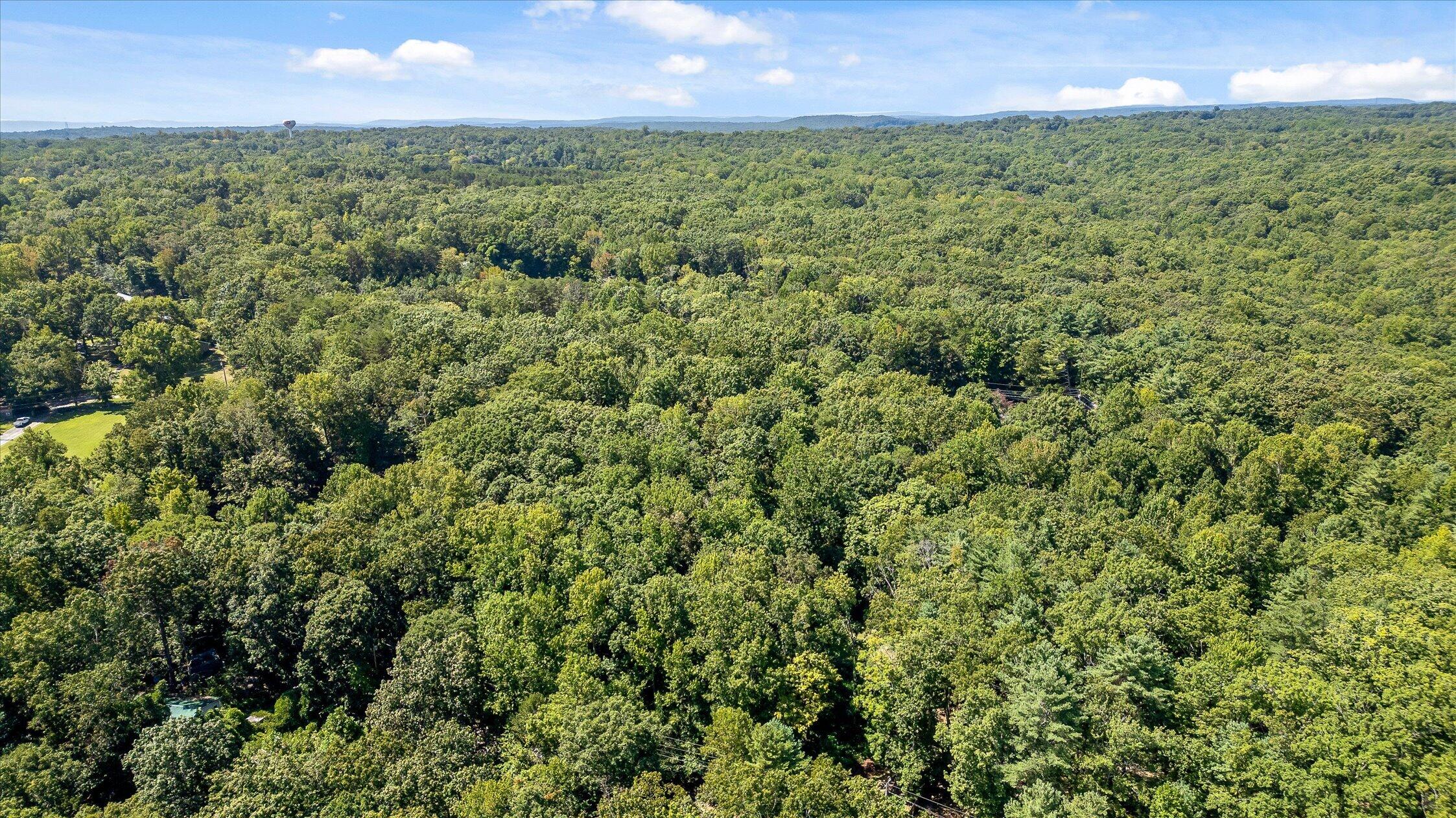 Aerial view across dense woodland to a distant ridgeline and blue sky.