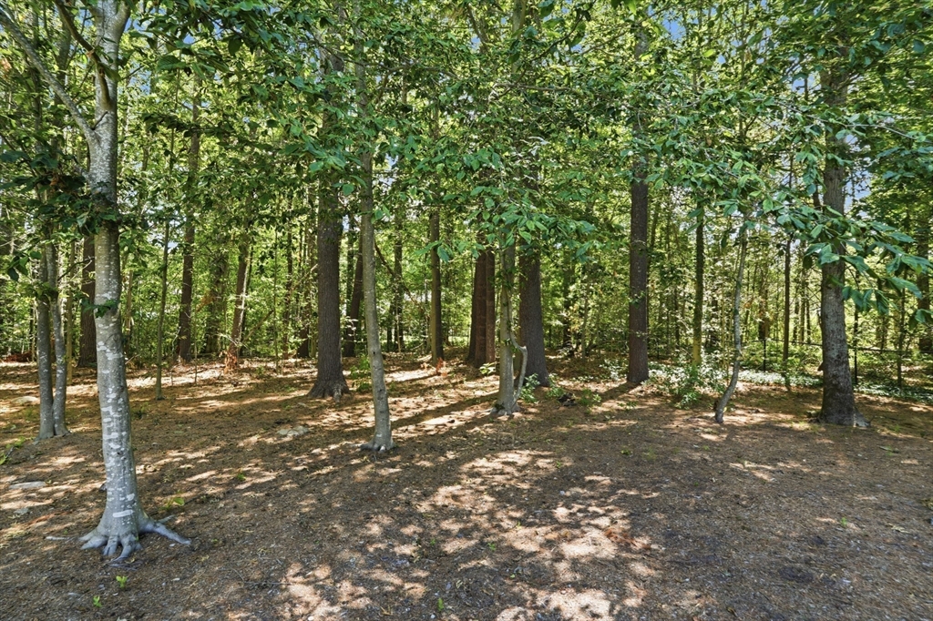 61 Stoney Weir Rd