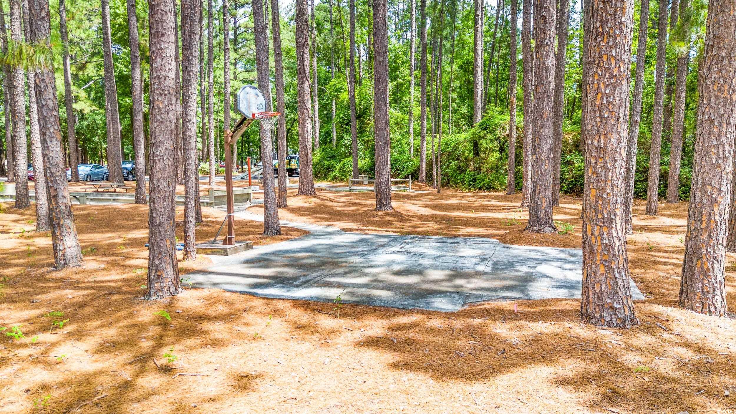110 Boxwood Ln.