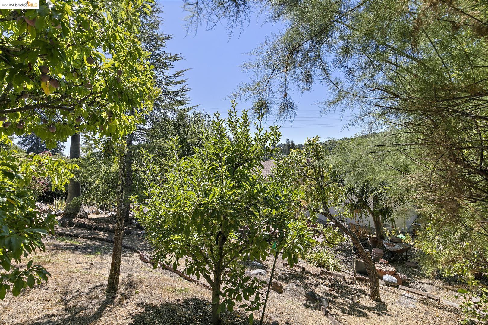 259 Rheem Blvd
