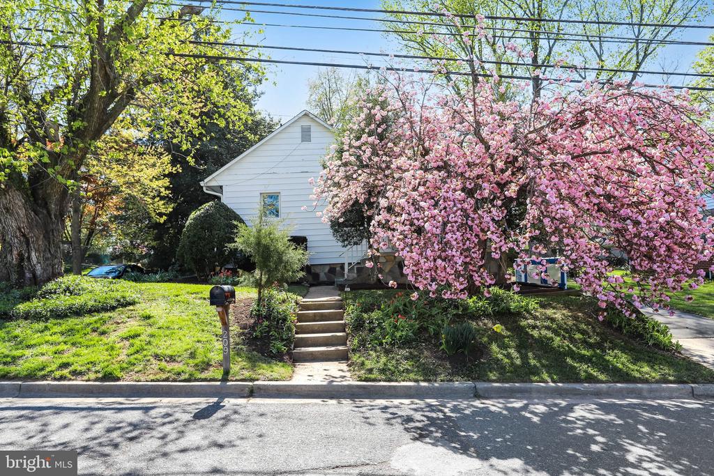 209 CEDAR AVENUE