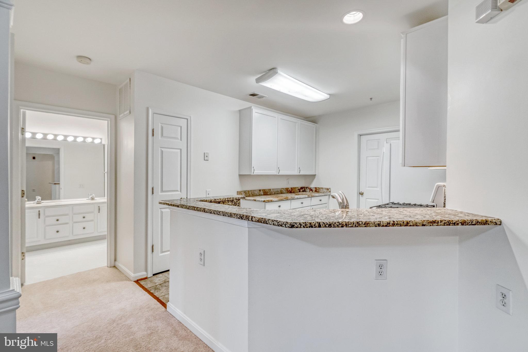 12789 Fair Crest COURT Unit: 14-102