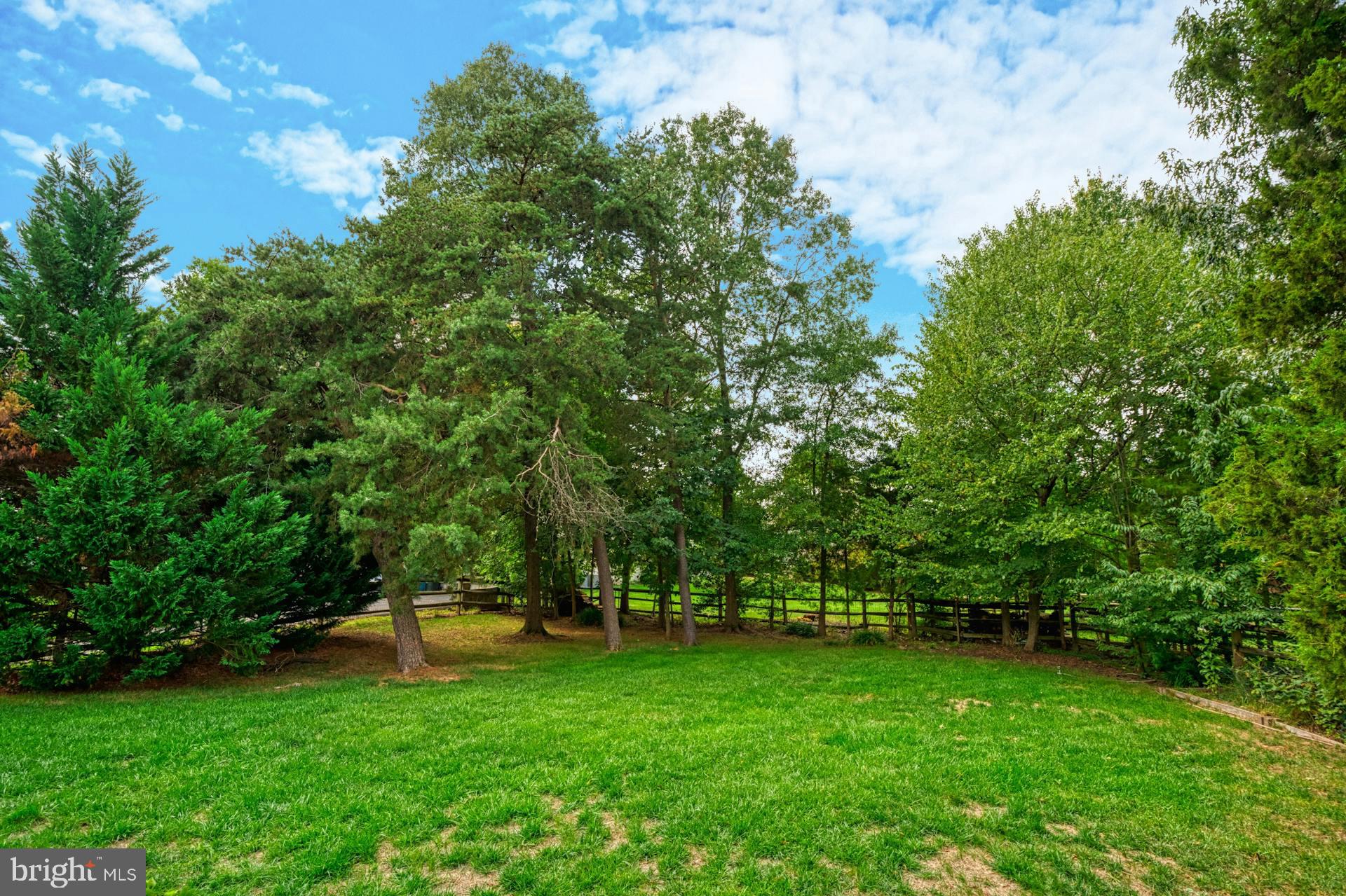 12933 Oak Lawn Pl