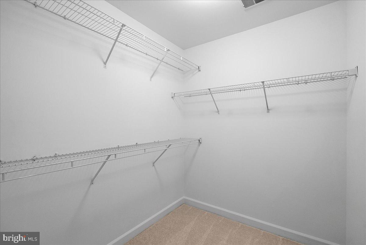 13475 CONEFLOWER COURT