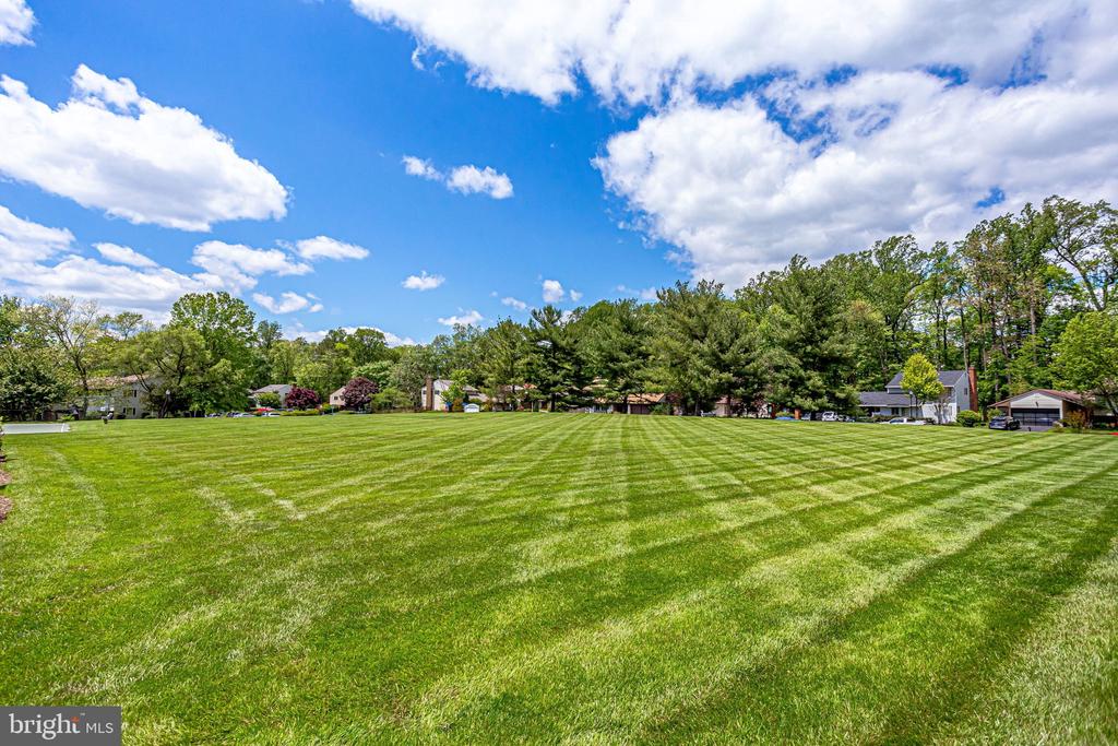 46 WEDGEDALE DRIVE