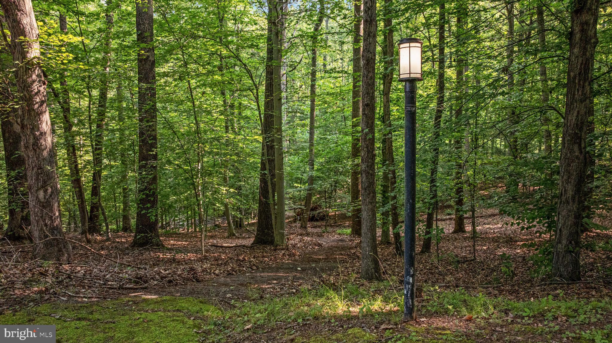 11656 Sandal Wood Ln