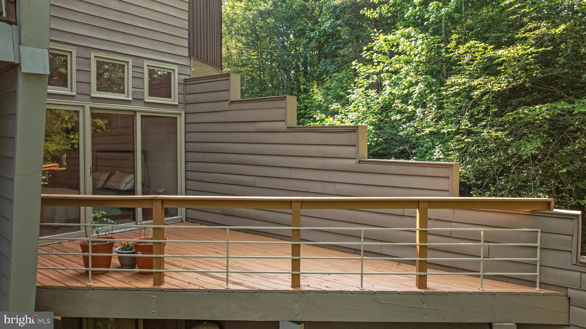 11656 Sandal Wood Ln