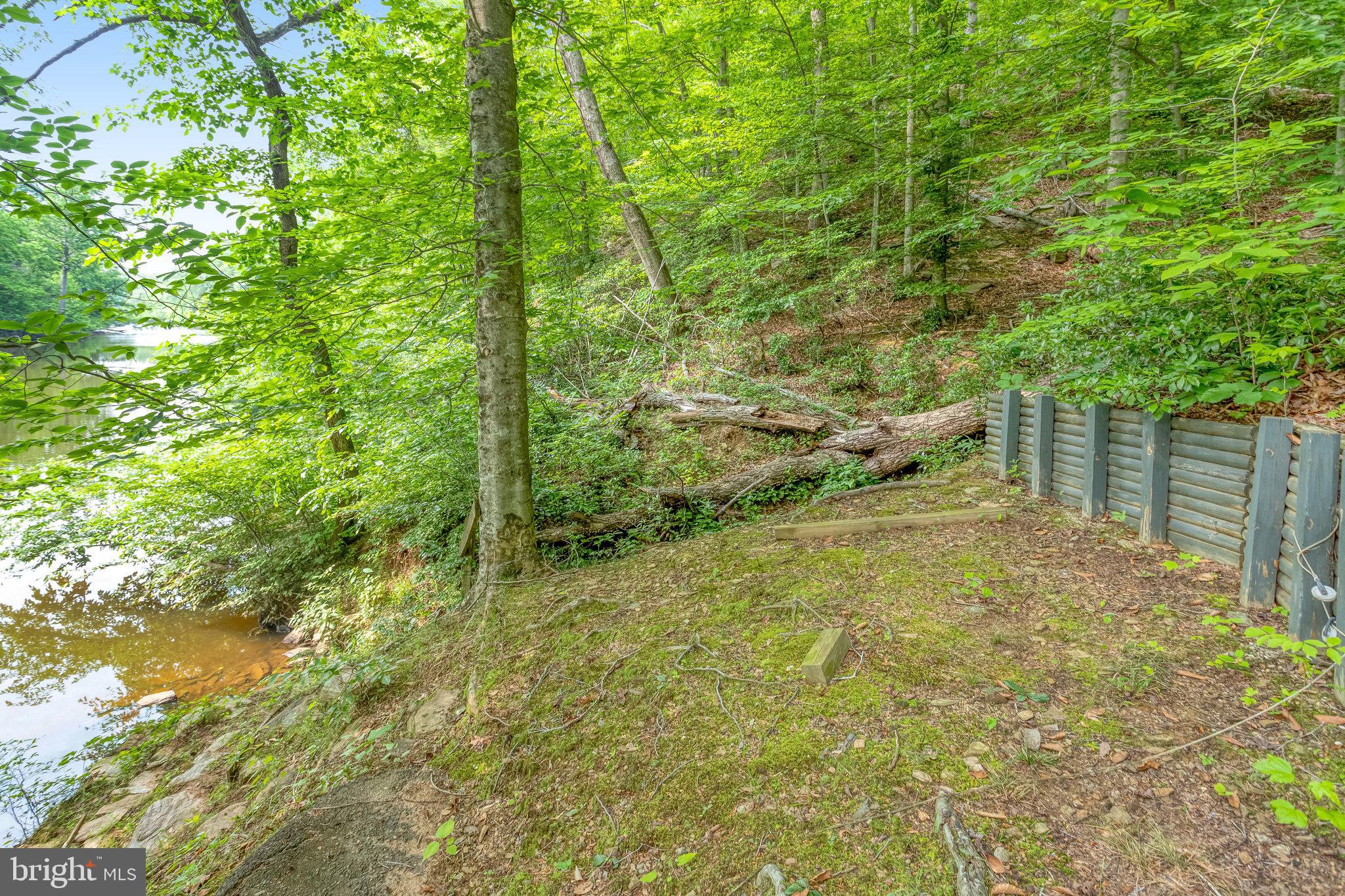 11656 Sandal Wood Ln