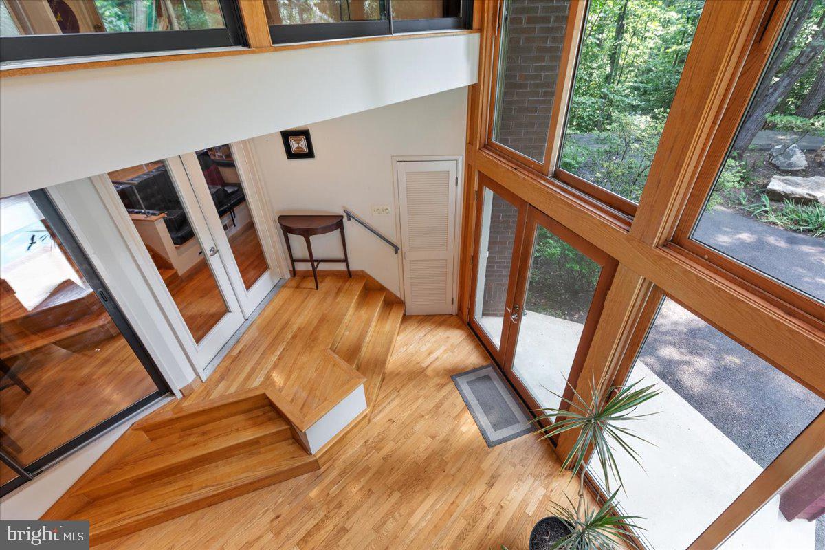 11656 Sandal Wood Ln