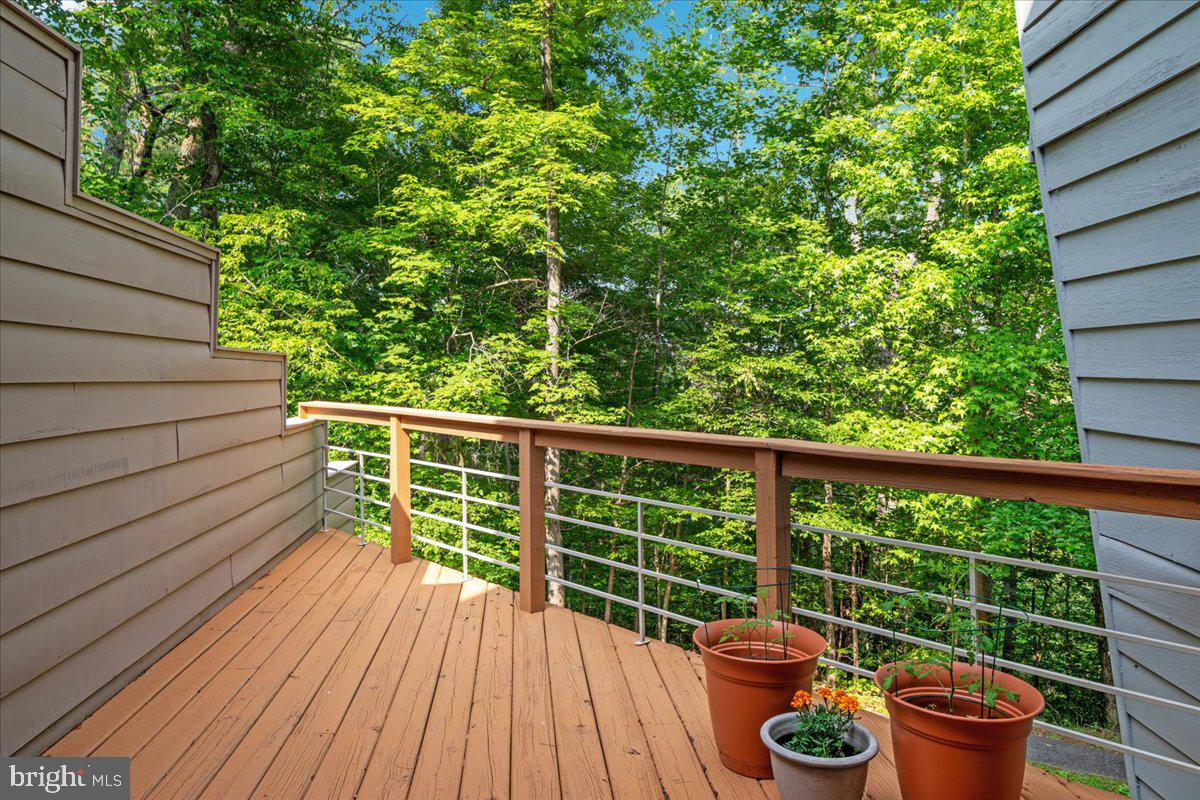 11656 Sandal Wood Ln