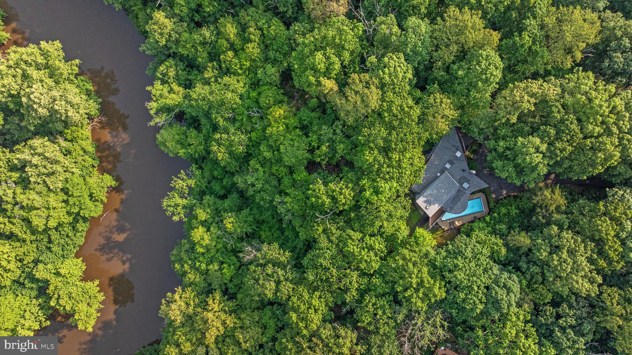 11656 Sandal Wood Ln