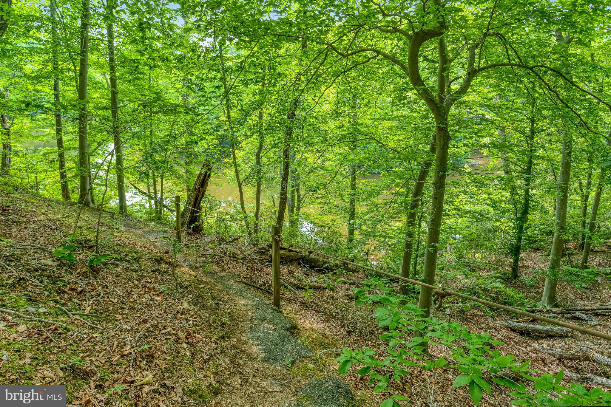 11656 Sandal Wood Ln