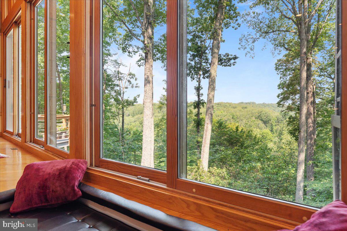 11656 Sandal Wood Ln