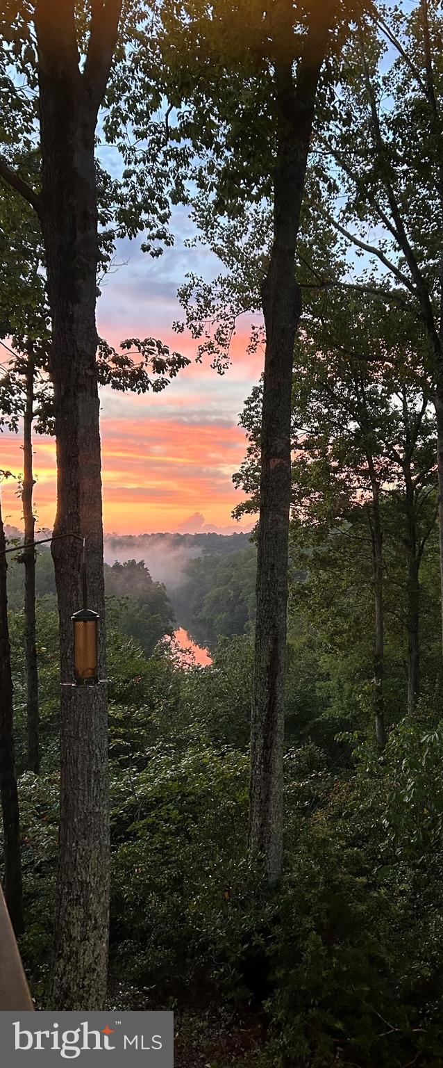 11656 Sandal Wood Ln