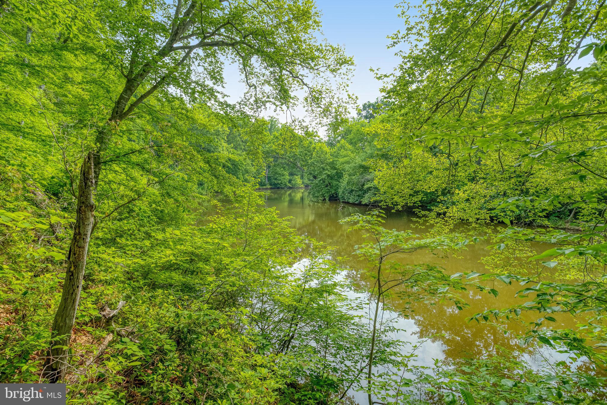 11656 Sandal Wood Ln