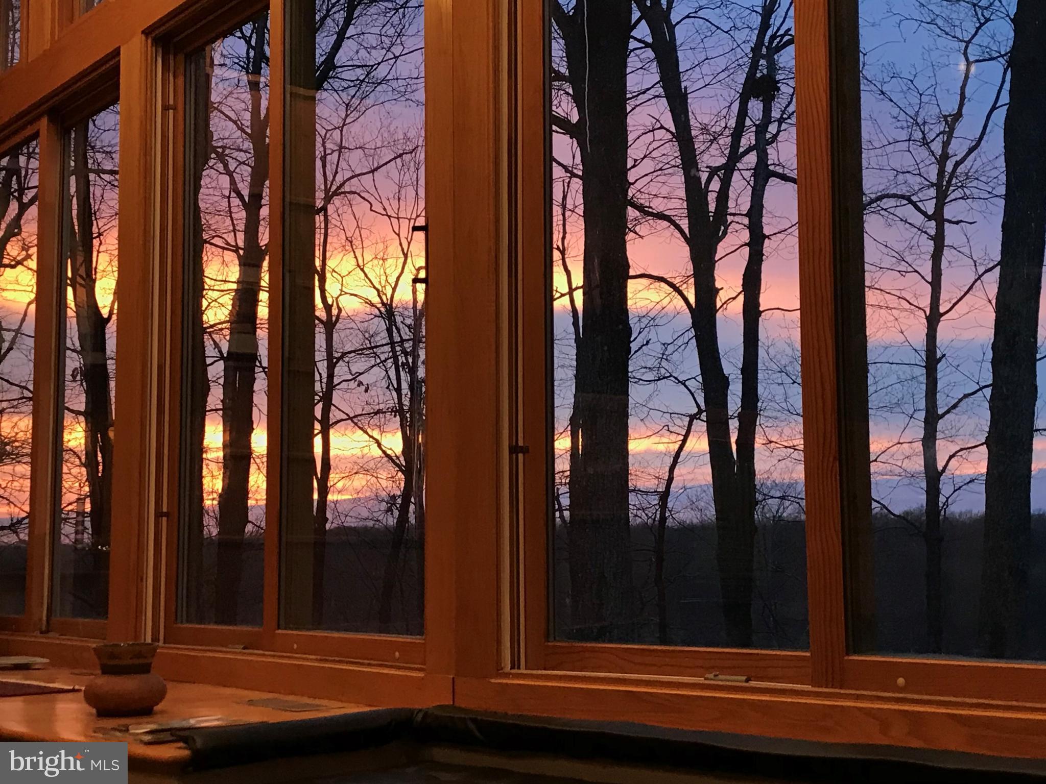 11656 Sandal Wood Ln