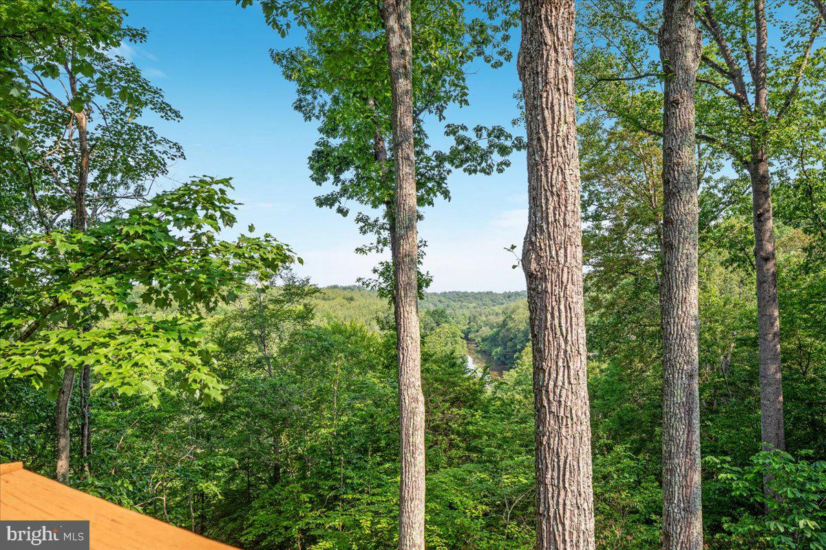 11656 Sandal Wood Ln