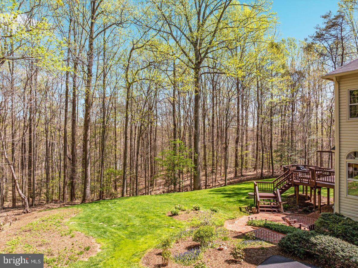 11671 SANDAL WOOD LANE