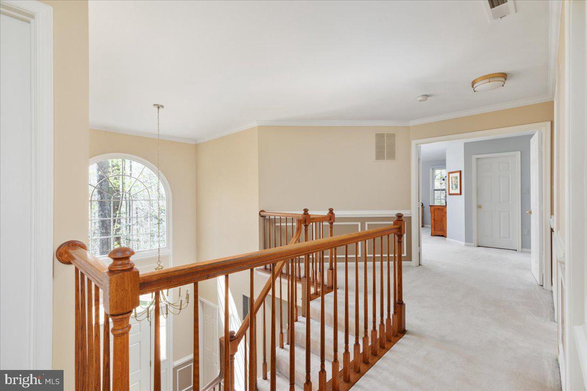 11671 SANDAL WOOD LANE