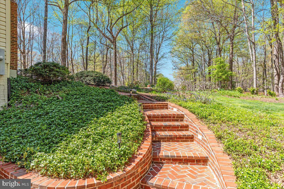 11671 SANDAL WOOD LANE