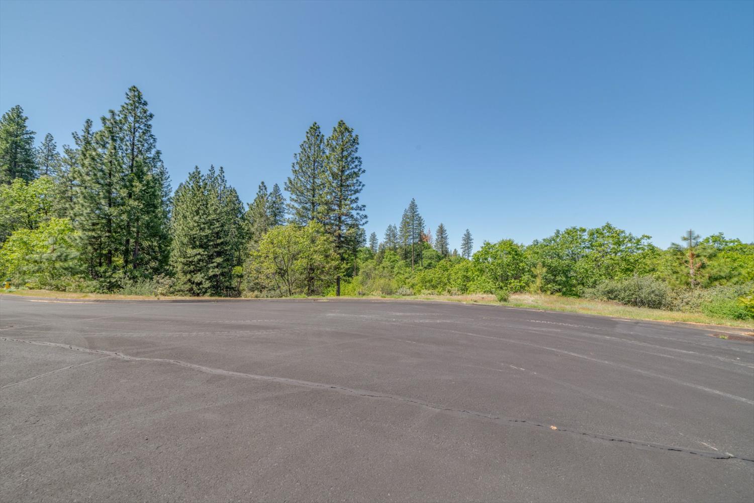 241 Red Apple Drive