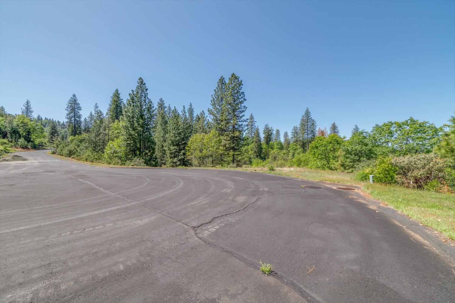 241 Red Apple Drive