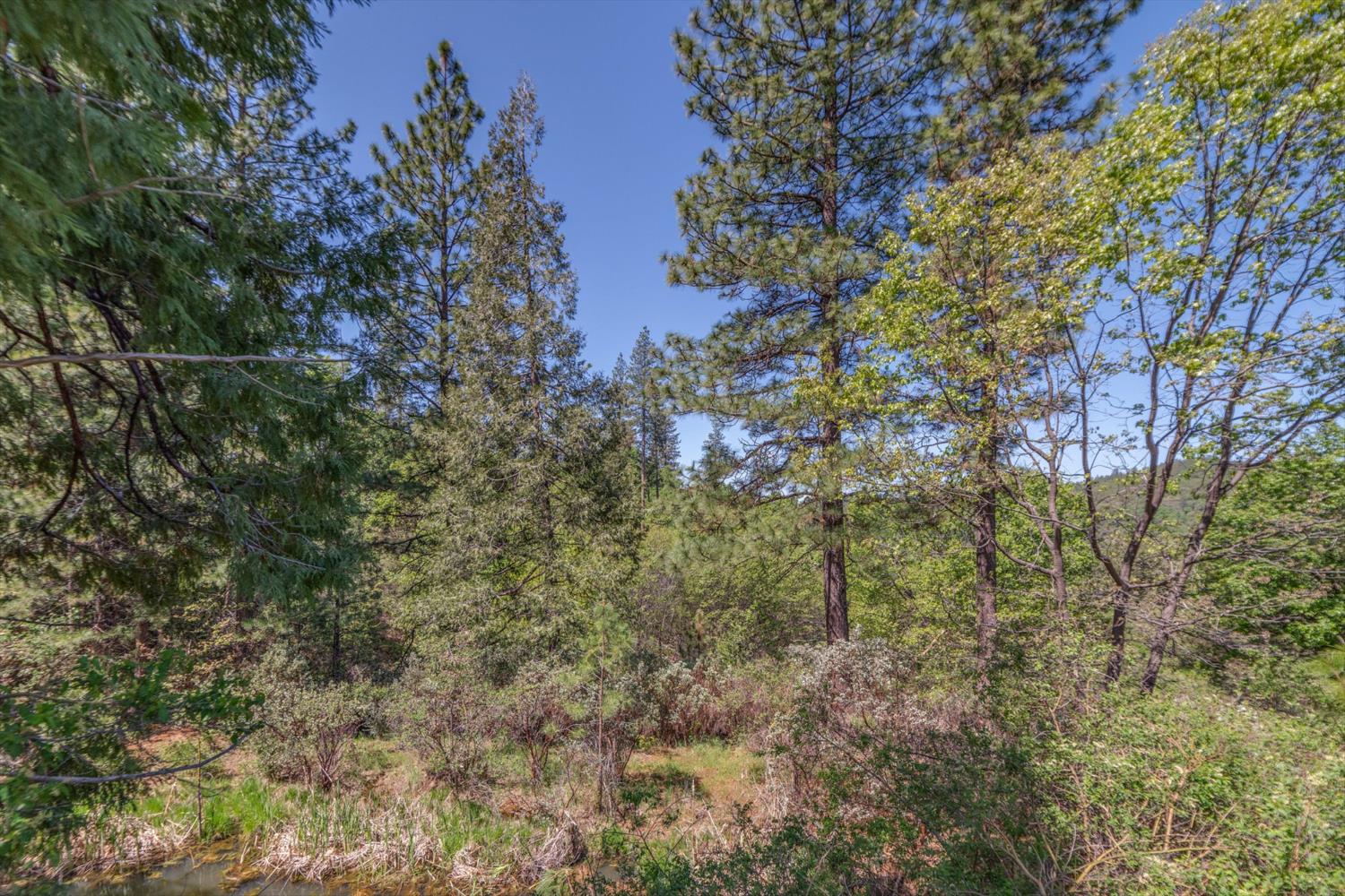 241 Red Apple Drive