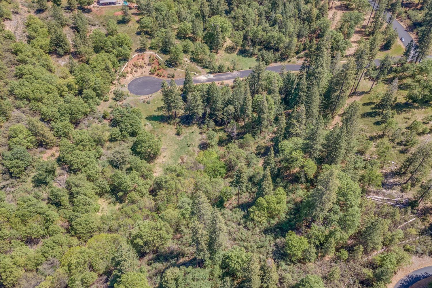 241 Red Apple Drive