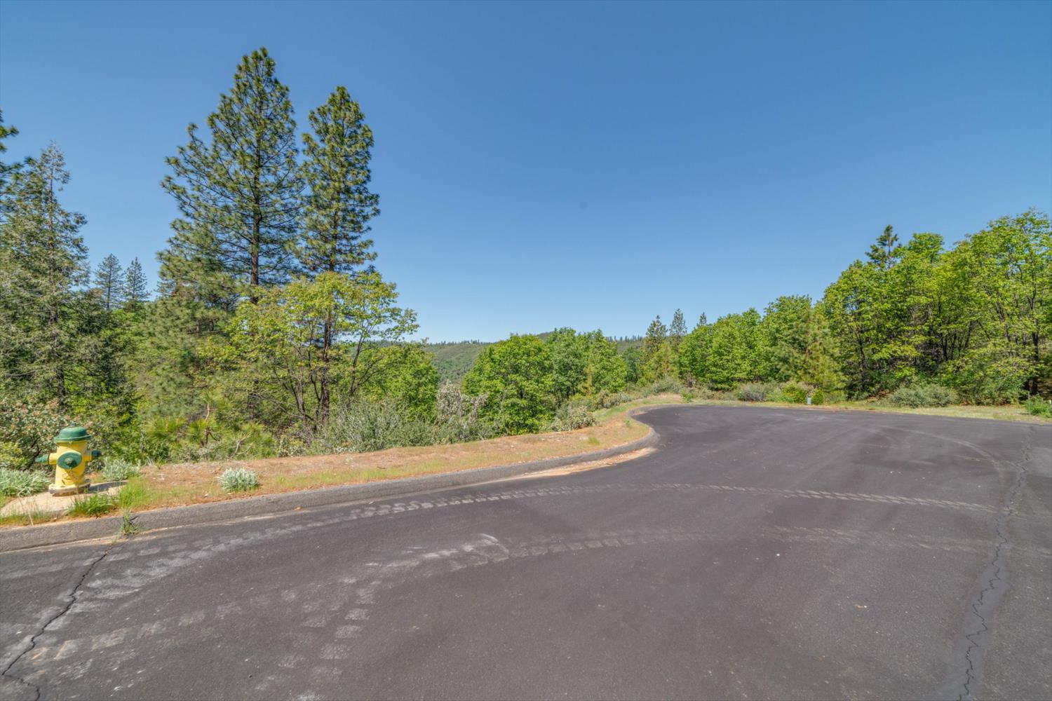 241 Red Apple Drive