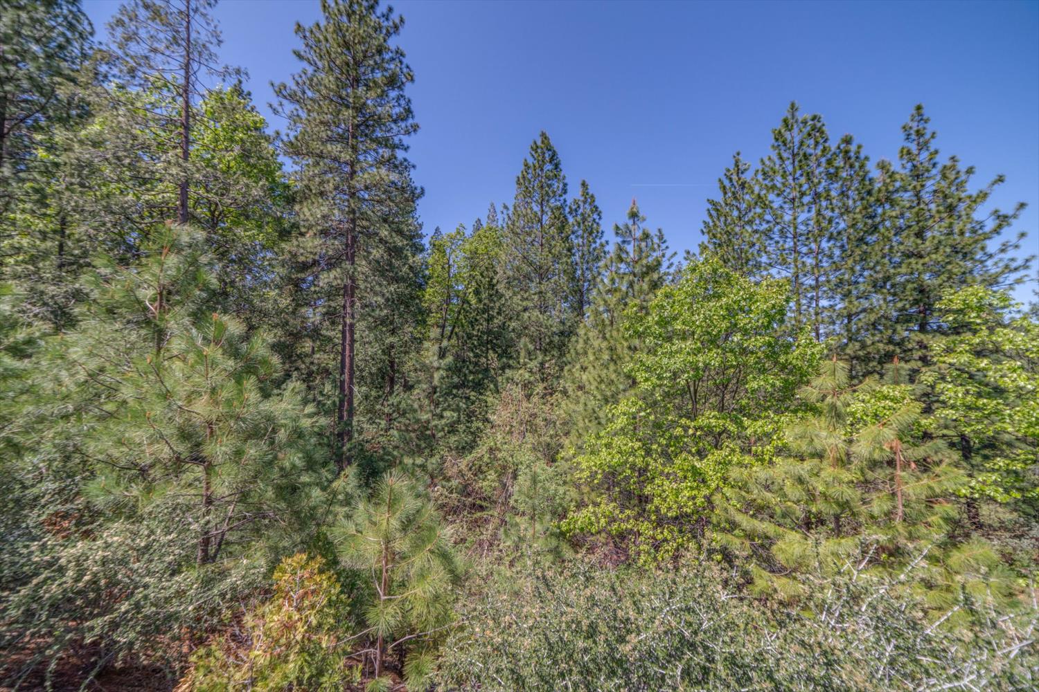 241 Red Apple Drive