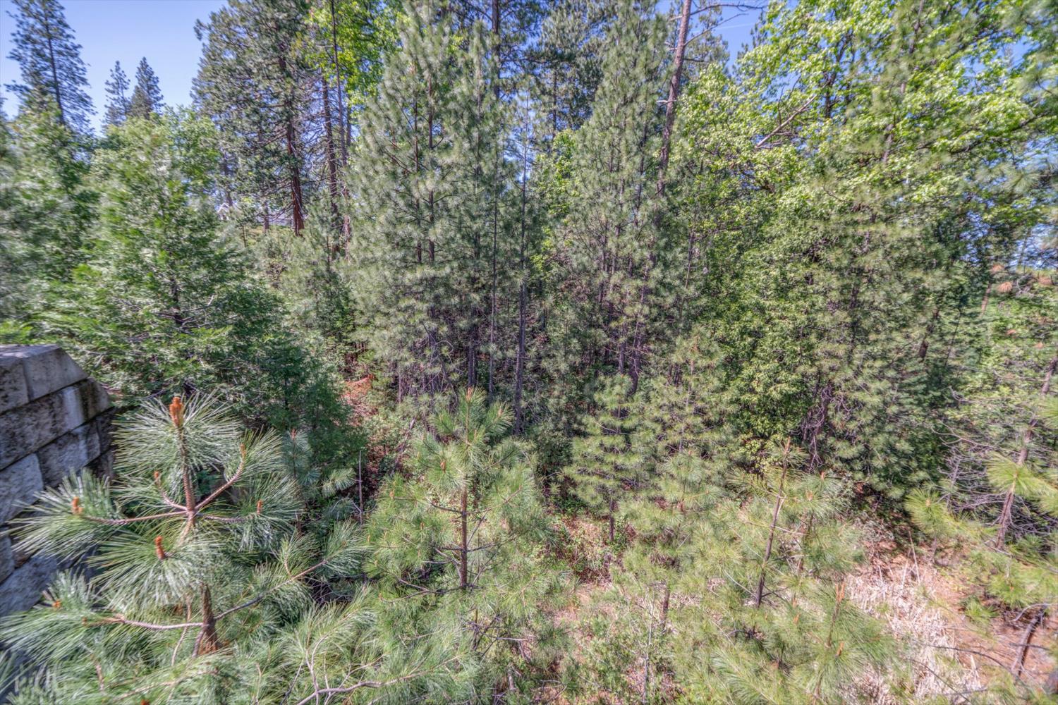 241 Red Apple Drive