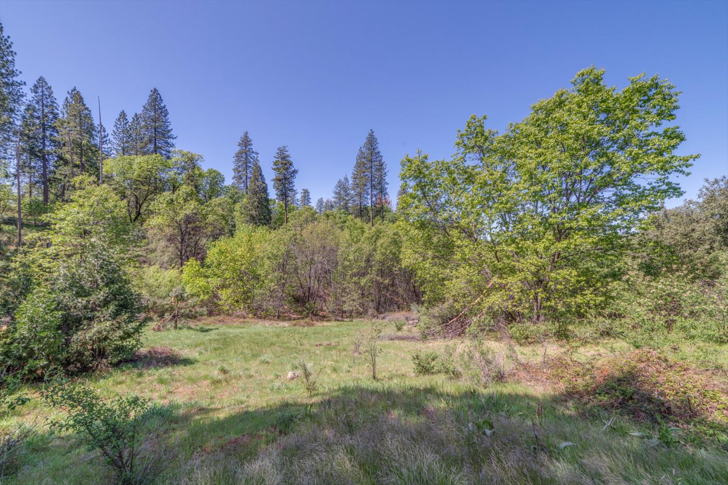 241 Red Apple Drive