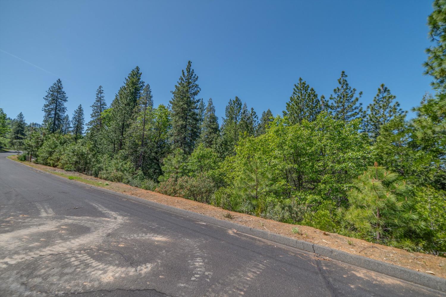 241 Red Apple Drive