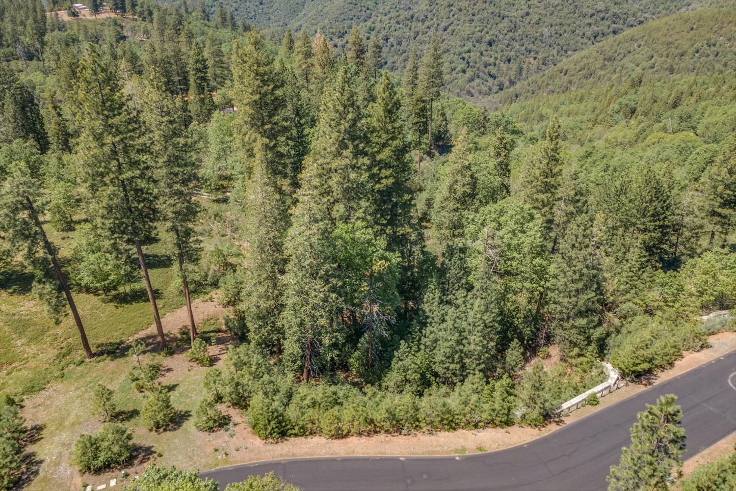 241 Red Apple Drive