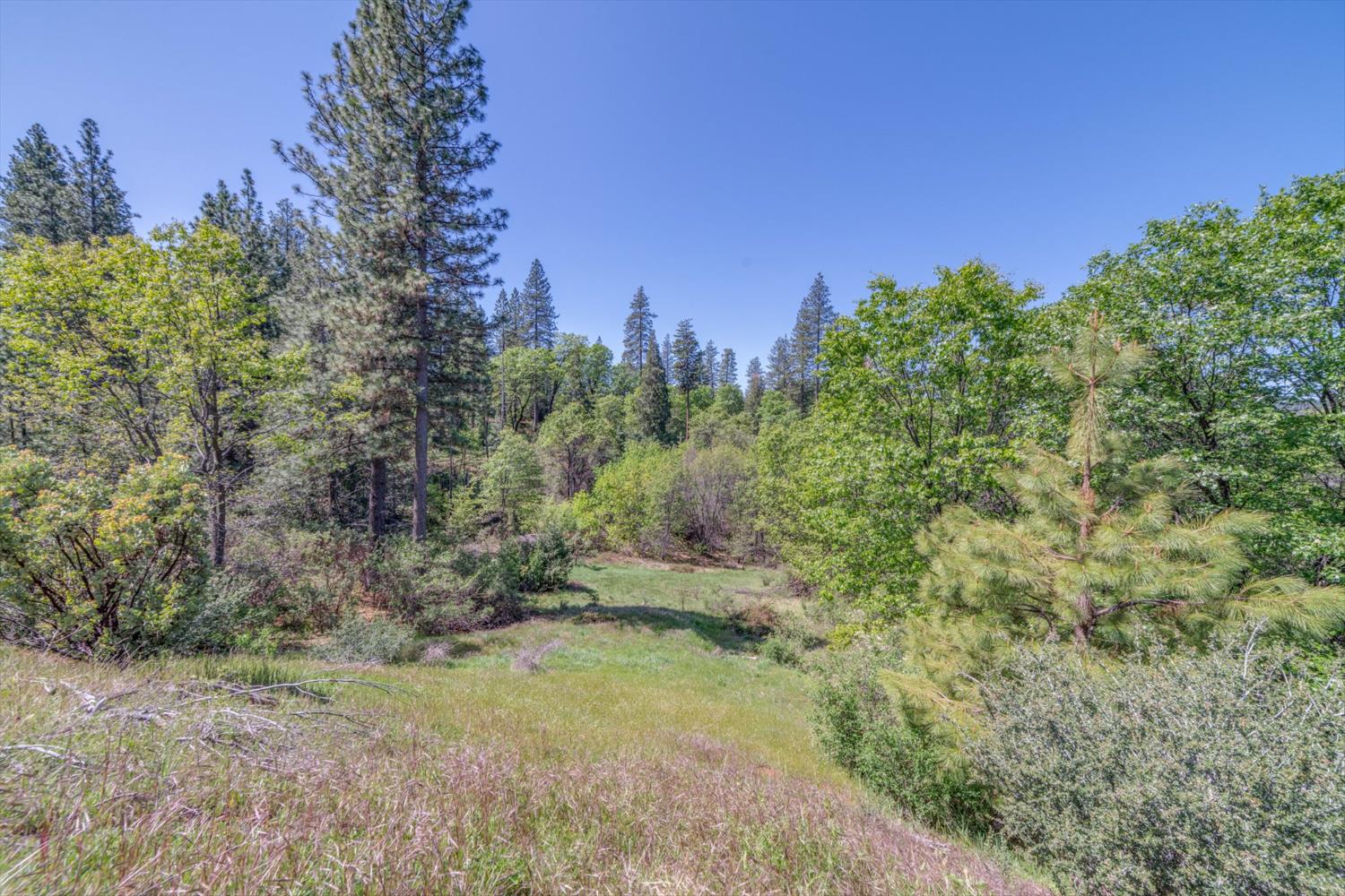 241 Red Apple Drive