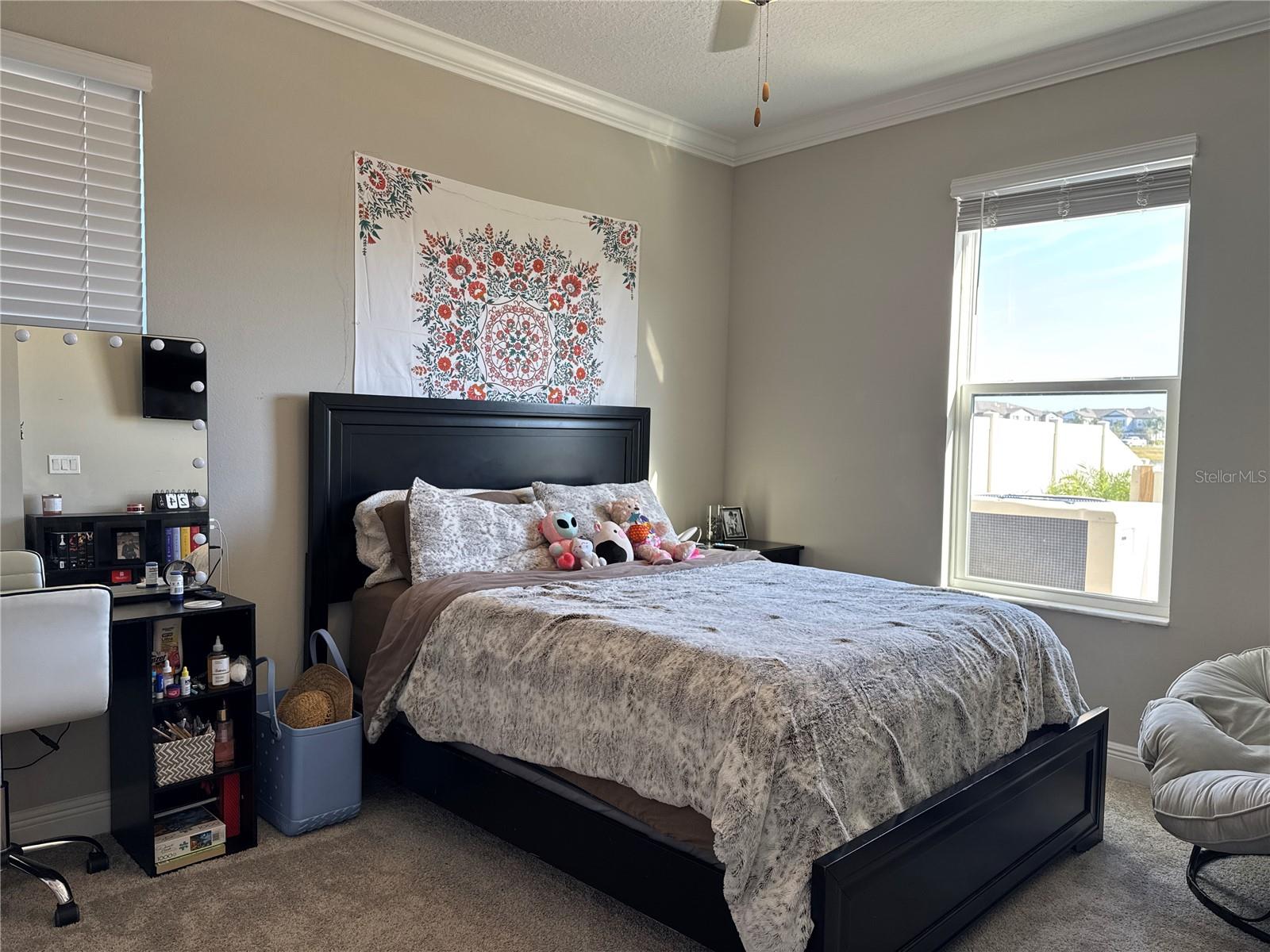 8365 CAPSTONE RANCH DR