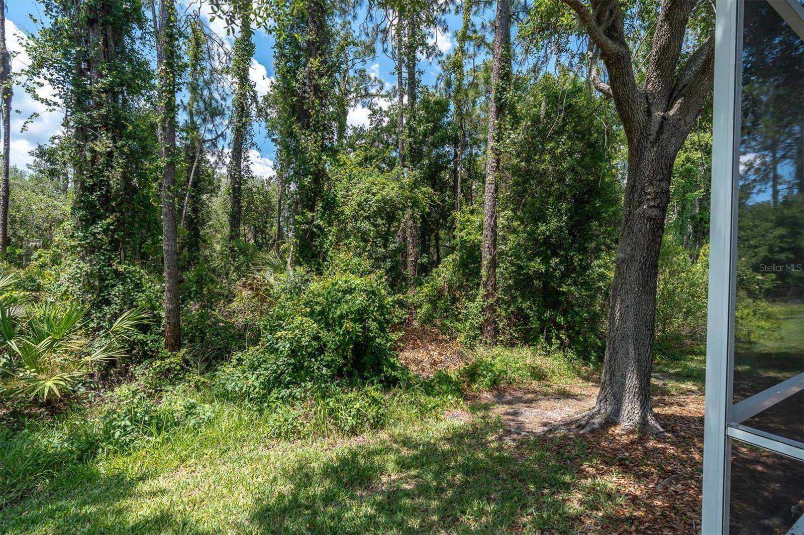 WESLEY CHAPEL